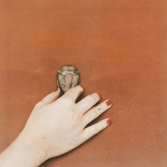 Untitled (Berringer's Lying Stones), 2014-2015, chromogenic print, 30 x 30 cm