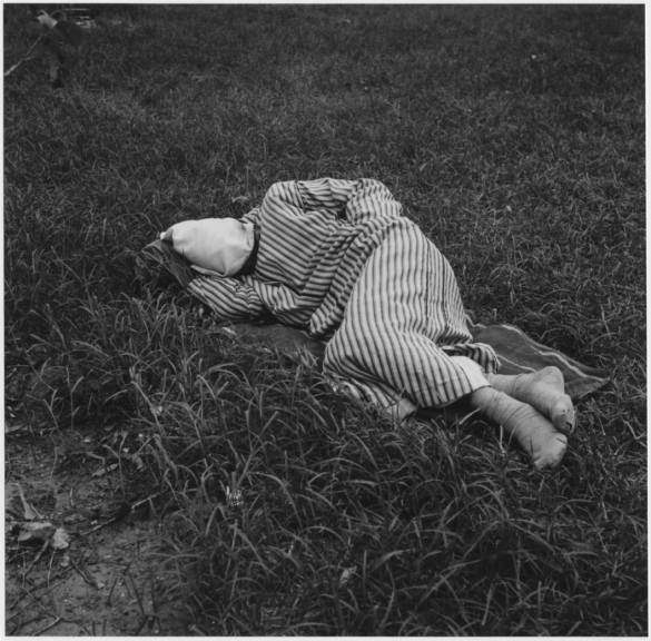 Sleepers_Figure 3, 2006