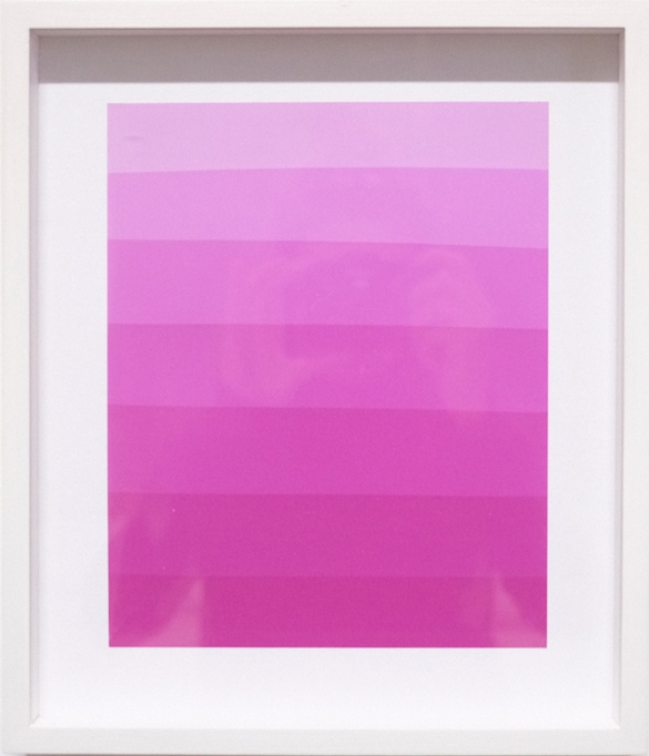 Photogram (Color gradient pink), photographic paper, 34 x 29 cm framed
