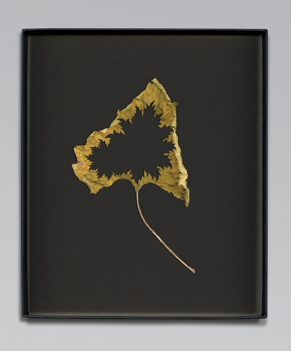 Walid Raad, Another note to the reader III, 2021, Inkjet print, 59 x 36cm