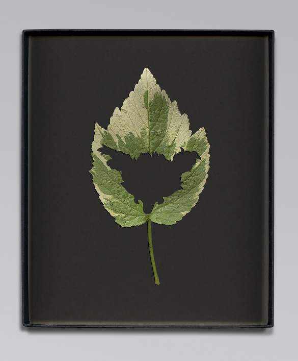 Walid Raad, Another note to the reader II, 2021, Inkjet print, 59 x 36cm