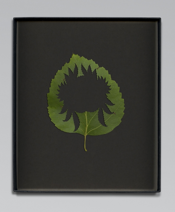 Walid Raad, Another note to the reader IV, 2021, Inkjet print, 59 x 36cm