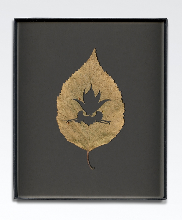 Walid Raad, Another note to the reader IX, 2021, Inkjet print, 59 x 36cm