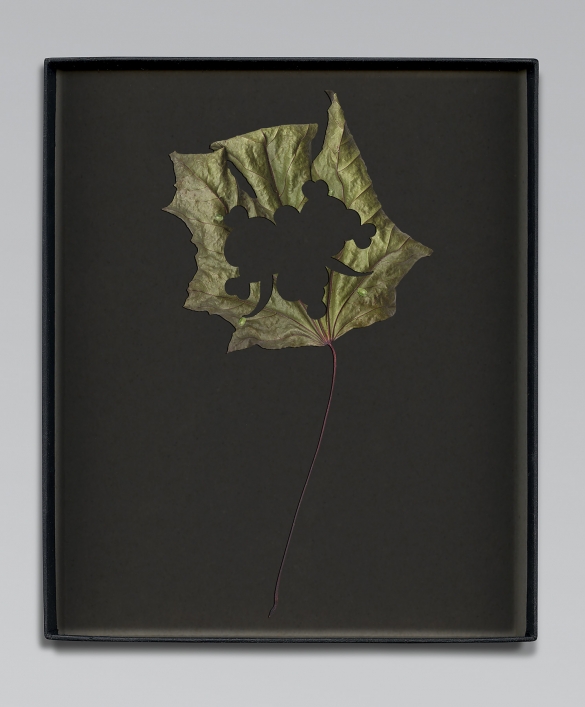 Walid Raad, Another note to the reader I, 2021, Inkjet print, 59 x 36cm