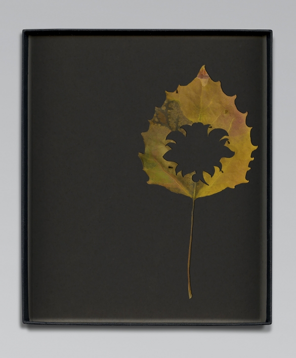 Walid Raad, Another note to the reader VIII, 2021, Inkjet print, 59 x 36cm