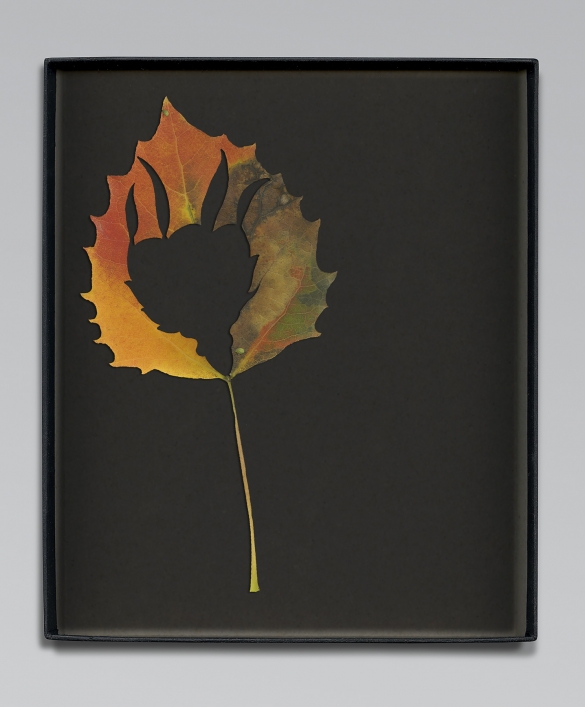 Walid Raad, Another note to the reader VII, 2021, Inkjet print, 59 x 36cm