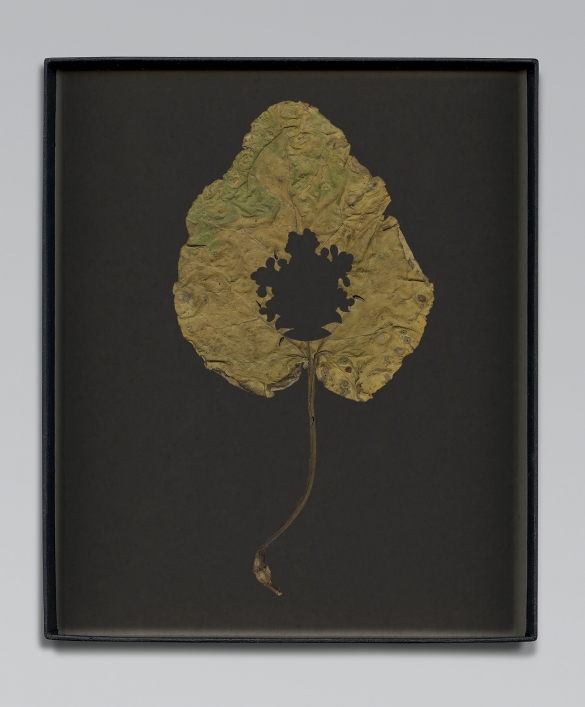 Walid Raad, Another note to the reader VI, 2021, Inkjet print, 59 x 36cm