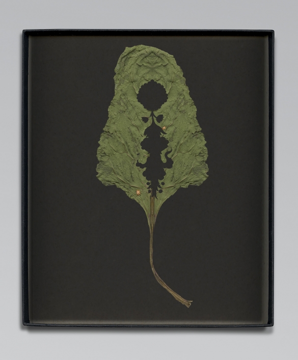 Walid Raad, Another note to the reader V, 2021, Inkjet print, 59 x 36cm