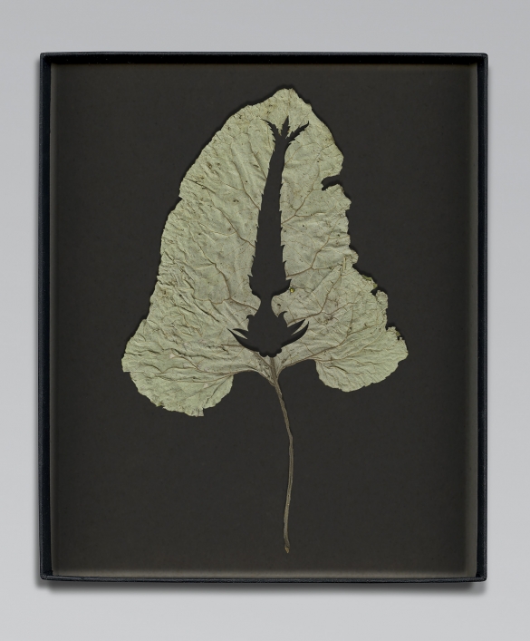 Walid Raad, Another note to the reader XI, 2021, Inkjet print, 59 x 36cm
