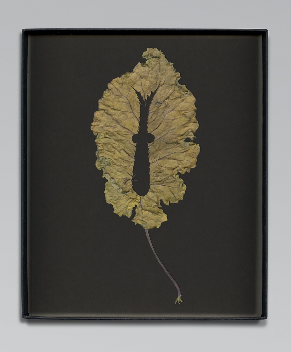Walid Raad, Another note to the reader X, 2021, Inkjet print, 59 x 36cm