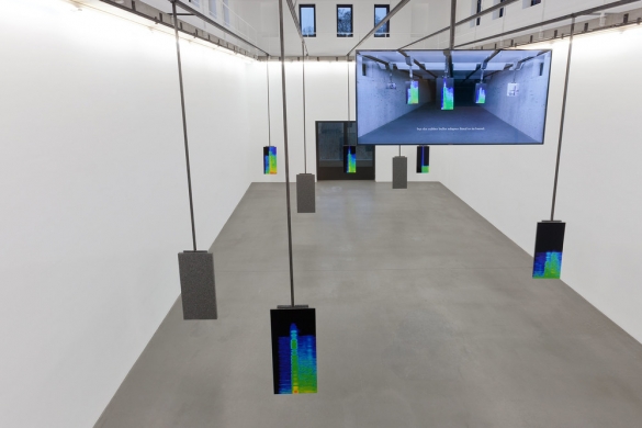 Earshot, 2016, HD Video, sound, loudspeakers, C-Print on kodak metallic paper mounted onto re-bonded foam, Video; 21:47 mins; Installation; Variable dimensions; C-Prints; 50 x 125 cm., Ed. 2 + 2 AP. Installation view, Portikus, Frankfurt/Main, 2016