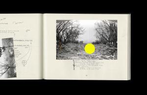 Let's be honest, the weather helped, 1998/2006