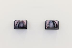 Disputed Utterance, 2019, 14 laser-cut diorama, c-prints mounted on cardboard with wooden cases, 7 texts printed on PVC plates, 7 x 10 x 6 cm each, Ed. 5 + 2 AP, Detail