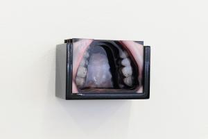 Disputed Utterance, 2019, 14 laser-cut diorama, c-prints mounted on cardboard with wooden cases, 7 texts printed on PVC plates, 7 x 10 x 6 cm each, Ed. 5 + 2 AP, Detail