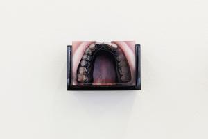 Disputed Utterance, 2019, 14 laser-cut diorama, c-prints mounted on cardboard with wooden cases, 7 texts printed on PVC plates, 7 x 10 x 6 cm each, Ed. 5 + 2 AP, Detail