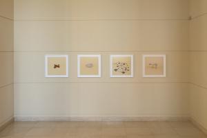 Installation view, Serralves
