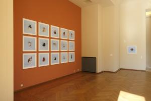 Installation view, Serralves
