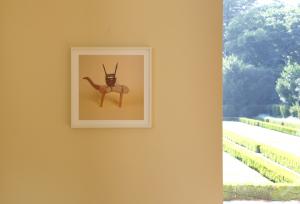 Installation view, Serralves