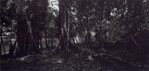 Balthasar Burkhard, Rio Negro, 2002, Silver galtine print, 125 x 250 cm