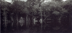 Balthasar Burkhard, Rio Negro, 2002, Silver galtine print, 125 x 250 cm