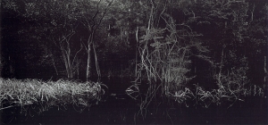 Balthasar Burkhard, Rio Negro, 2002, Silver galtine print, 125 x 250 cm