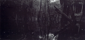 Balthasar Burkhard, Rio Negro, 2002, Silver galtine print, 125 x 250 cm