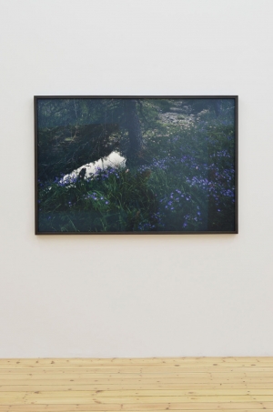 Balthasar Burkhard, Landscape, 2008, C-Print, 97 x 143,5 cm