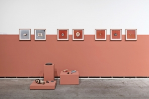 Installation view, The Power Plant, Toronto, 2016