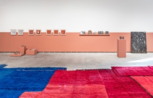 Installation view, The Power Plant, Toronto, 2016