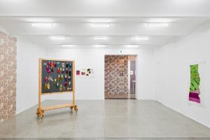 The Sample Book, 2016, Installation views Secession, Wien. ©Iris Ranzinger