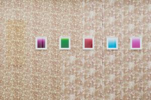 The Sample Book, 2016, Installation views Secession, Wien. ©Iris Ranzinger