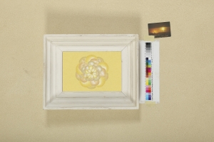 Appendix 153, Plate 005, 2019, Inkjet print, 61 x 91 cm