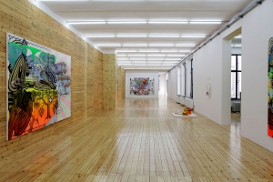 Christine Streuli, Kragenweite / collar size: 36, Exhibition view, Sfeir-Semler Gallery, Hamburg, 2014. Photo: Rosa Rühling