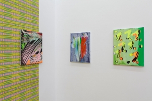 Christine Streuli, Kragenweite / collar size: 36, Exhibition view, Sfeir-Semler Gallery, Hamburg, 2014. Photo: Rosa Rühling