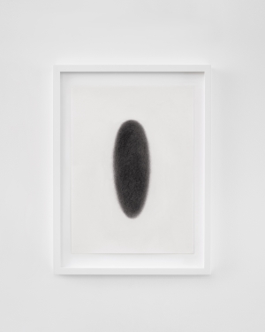 Tarik Kiswanson, Open Window (Nest), 2021, Charcoal drawing on paper, 50 x 37.6 x 3.4 cm