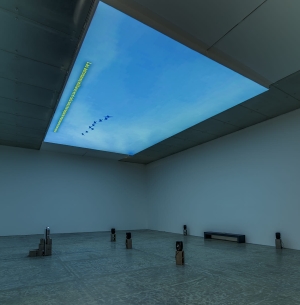 Cross-Border Crimes, exhibition view, MUAC, Mexico City, Mexico