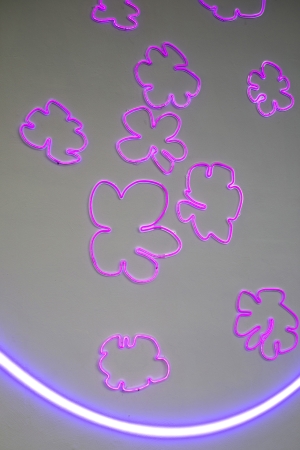 (Raisibe dreaming): flowers and light, flowers and light, 2023, Neon installation, coloured LED, dimensions variable