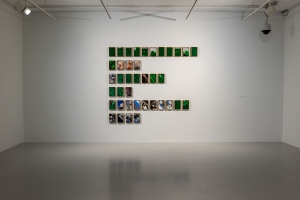 Disruptions, 2015-17, 80 screenshots on inkjet prints on paper, 24 x 16 cm each