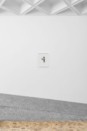 Nido, exhibition view, Museo Tamayo, Mexico City, 2023