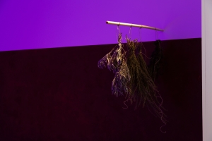 Dineo Seshee Bopape, (ka pheko) the dream yet to come, 2025, multimedia installation