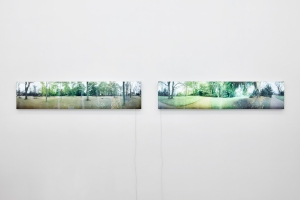 Hiroyuki Masuyama, PARK 01.04.1999-31.03.2000, No. 3, 2000, LED Lightbox, 35 x 160 x 4cm & Hiroyuki Masuyama, PARK 01.04.1999-31.03.2000, No. 2, 2000, LED Lightbox, 35 x 160 x 4cm