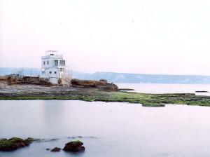 119/879.jpg