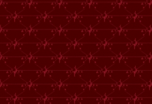 Drone_4, 2016, Wallpaper, 400 x 61 cm, Edition 7 + 3 AP