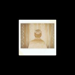 The Bachar Polaroids, 2011