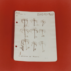 Untitled (Album de dessins indigènes series (album of North African drawings)), 2014-2015, chromogenic prints, 40 x 40 cm