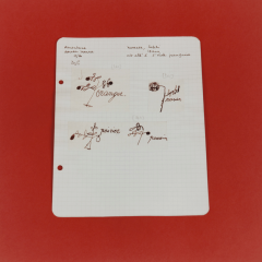 Untitled (Album de dessins indigènes series (album of North African drawings)), 2014-2015, chromogenic prints, 40 x 40 cm