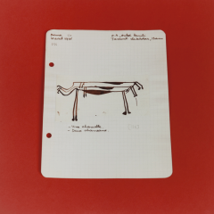 Untitled (Album de dessins indigènes series (album of North African drawings)), 2014-2015, chromogenic prints, 40 x 40 cm