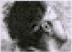 86/575.jpg