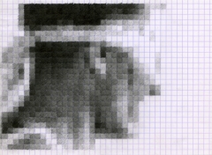 86/578.jpg