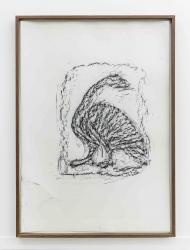 Orthostate #015 (Goose), 2017, 32 framed charcoal on paper rubbings, vinyl on wall, 107x77cm each